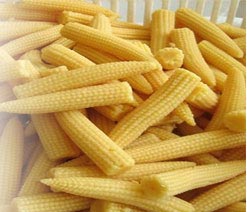 Baby Corn