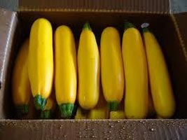 Yellow Zucchini