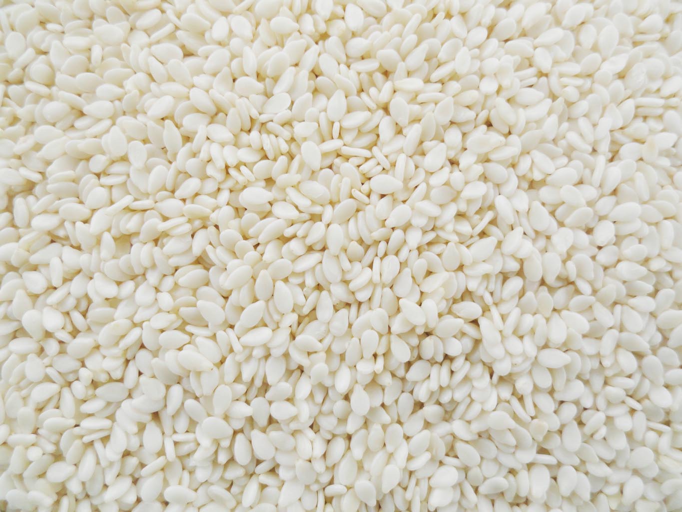 Hulled Sesame Seeds, Purity : 99.98 % Min.