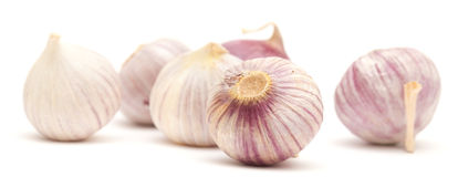 Organic Himalayan Single Clove Garlic, Certification : FSSAI