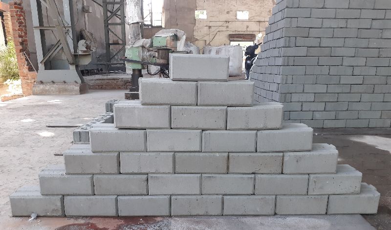 Hollow and solid interlocking bricks and blocks fly ash