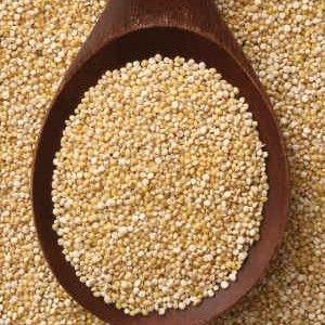 Grain Quinoa