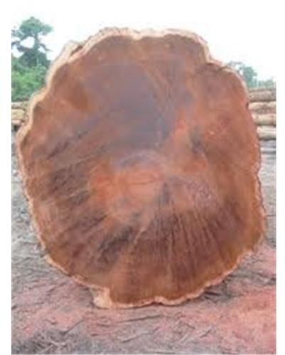 Amazouke, Bilinga, Dabema, Azobe, Tali