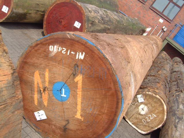 Wenge, Tali, Okan Mahungany, Iroko, Azobe, Sapelli Lumber and Logs