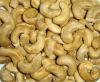 cashew nuts