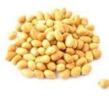 Dried Peanuts