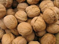 Fresh Walnut