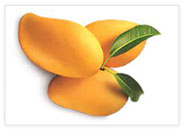 Alphonoso Mango Pulp