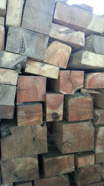 Babool Wood Blocks