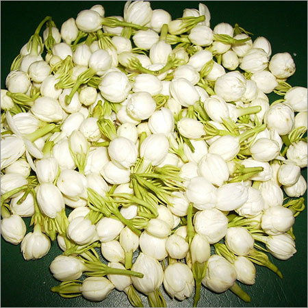 Traditional Jasmine Flowers