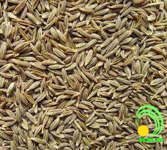 Cumin Seeds, Jeera