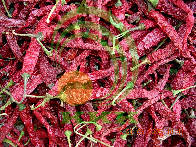 Kashmiri Red Chilli