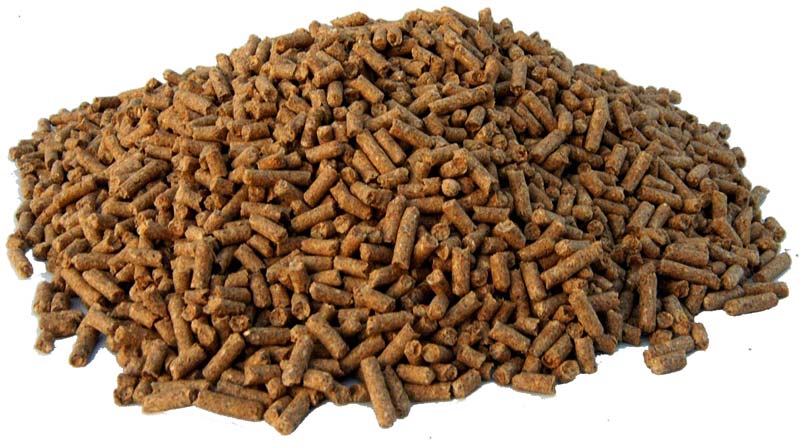 Horse Feed Supplements