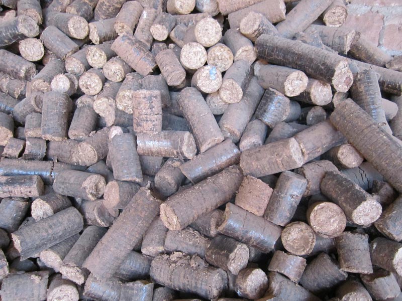 Natural Cork by Garima International, Natural Cork from JODHPUR ...