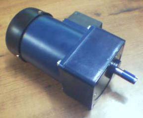 AC Inline Gear Motors