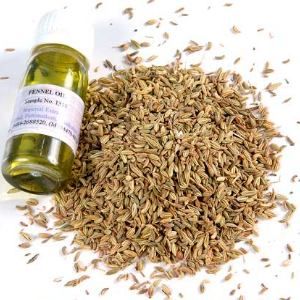 Fennel Oil
