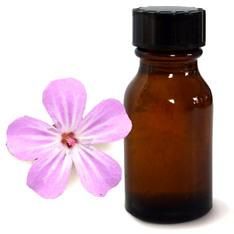 Geranium Oil