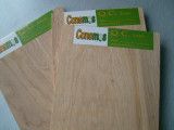 Ordinary Plywood