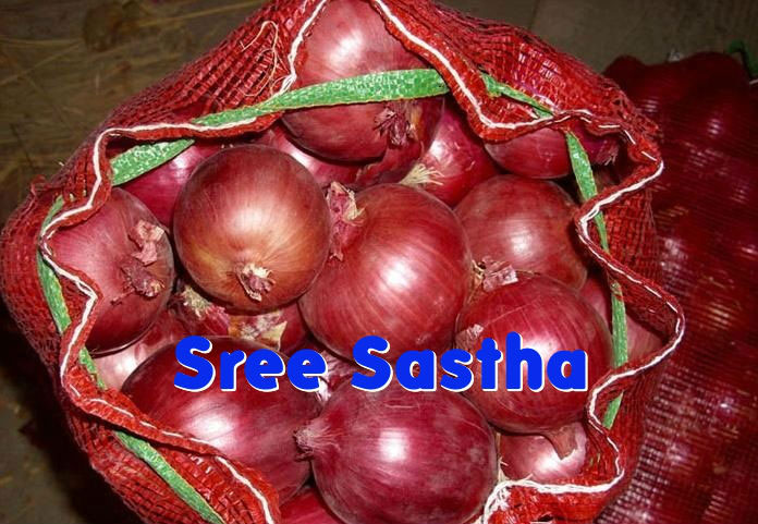 Fresh Nasik Red Onion, Certification : Phytosanitary Certificate