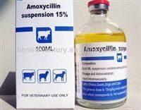 100ml 500ml Amoxicillin Suspension 15% LA