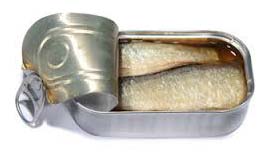 Canned Sardine in Brine