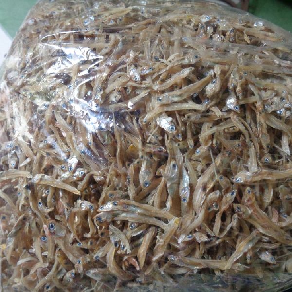 DRIED ANCHOVY/ SPRAT FISH