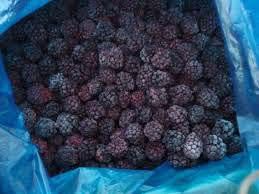 Iqf/ Frozen Blackberry