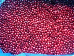 Iqf Lingonberry