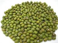 Mung Beans Dry Green 3.0mm--4.0mm Vigna Beans