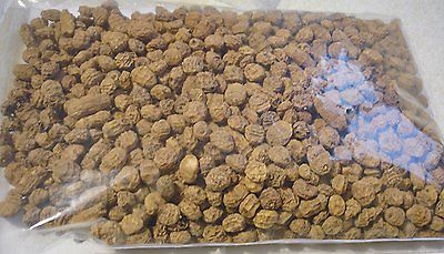 Tiger Nuts