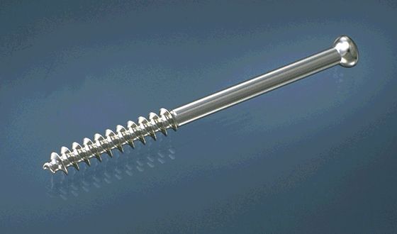 Cancellous Bone Screw