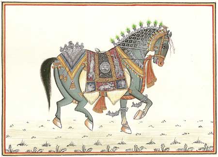 Kathi Horse