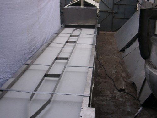 Fruit/ Vegetable Sorting Conveyor