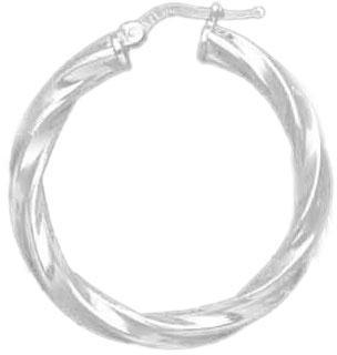 Plated Hoop Earrings DTSE000029