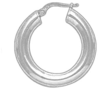 Plated Hoop Earrings  DTSE000032
