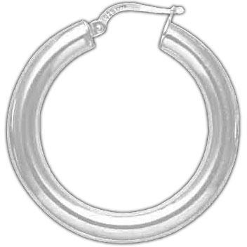 Plated Hoop Earrings DTSE000034