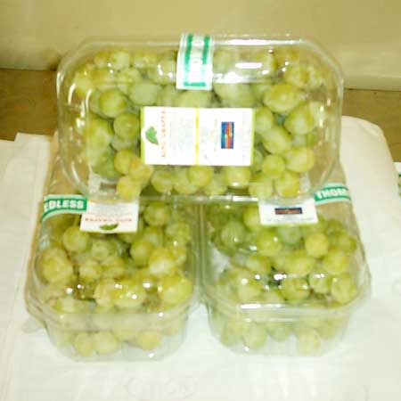 Fresh Green Grapes