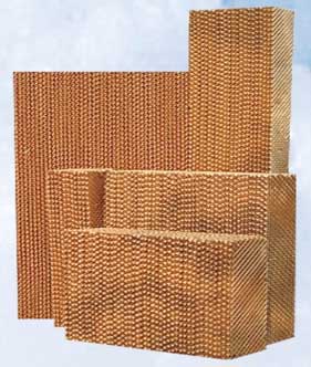 Cellulose Pad