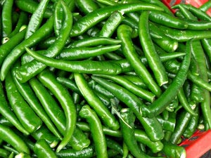 fresh green chilli