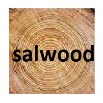 Sal Wood