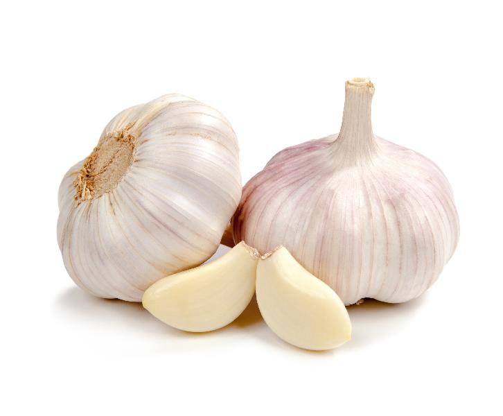 fresh garlic