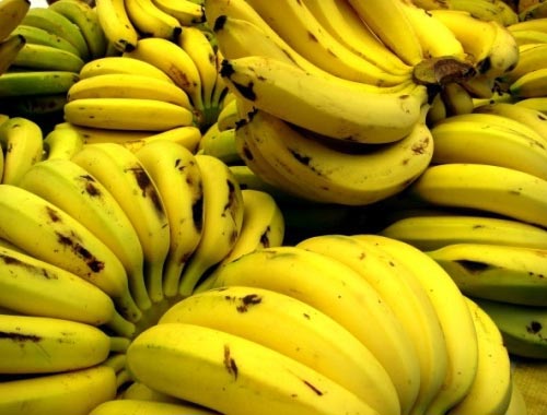 Common fresh banana, for Food, Juice, Snacks, Packaging Type : Crate, Gunny Bag, Net Bag, Plastic Bag