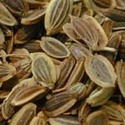 Dill Seed Oil