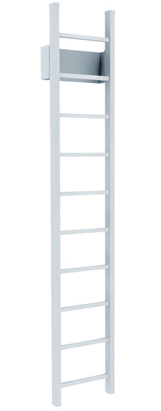 Tubular Rail Fixed Access Ladder
