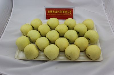 Fresh Golden Apple Fruit