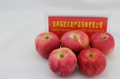 Crop Fresh Apples, Fresh Fruits