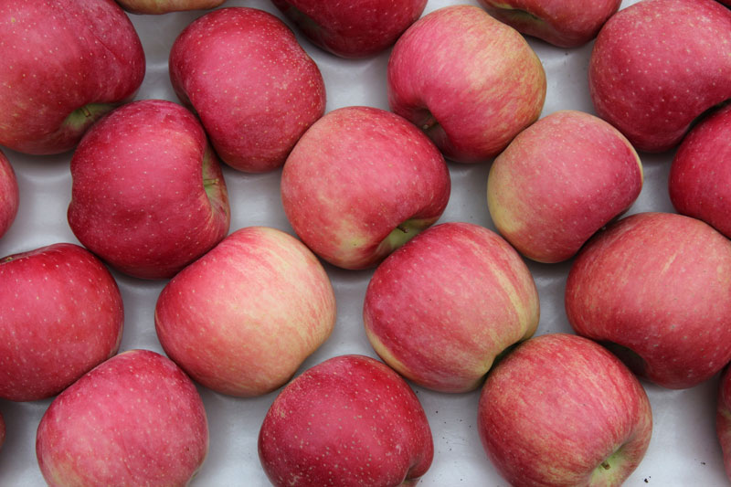 Fresh Ed Apple Fruit