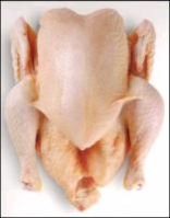 Frozen Halal Chicken