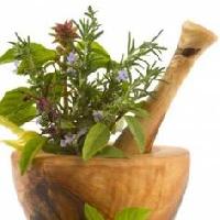 herbal veterinary medicine