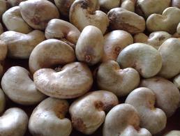 Raw cashew